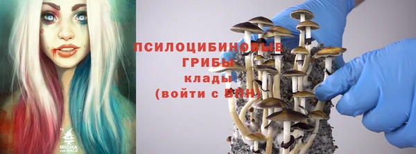 первитин Михайлов