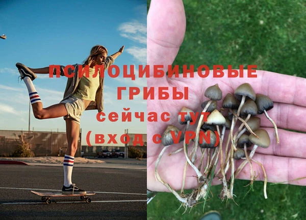 СК Михайловск